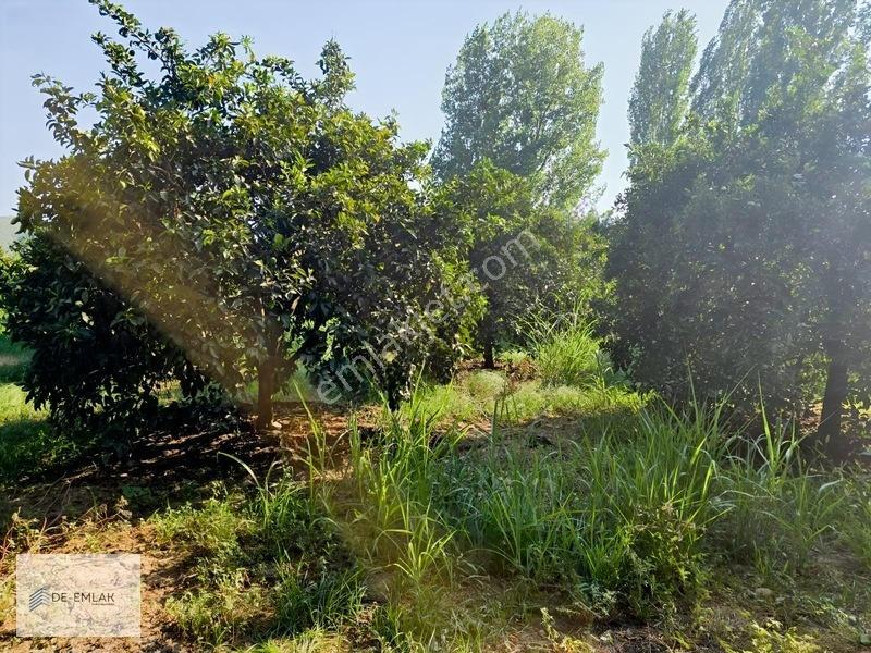 Köyceğiz 'de Muhteşem Konumda Müstakil Tapulu Satılık Tarla — fotoğraf 26