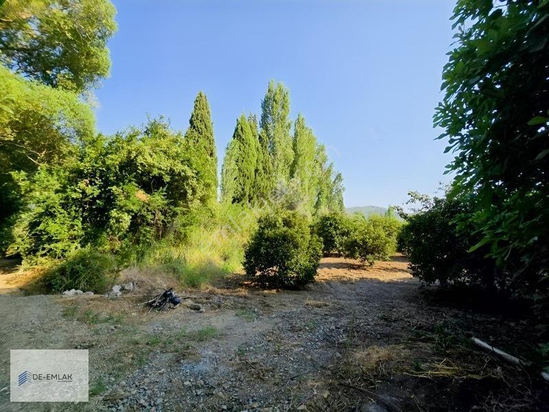 Köyceğiz 'de Muhteşem Konumda Müstakil Tapulu Satılık Tarla — fotoğraf 34