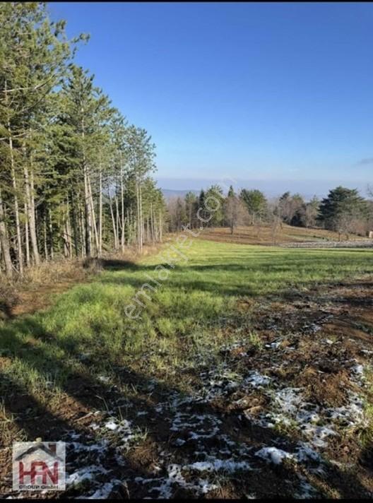 Alaçam'Da Satılık 1.175M2 Hobi Bahçesi