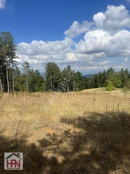 Alaçam'da Satılık 1.175m2 Hobi Bahçesi — fotoğraf 2