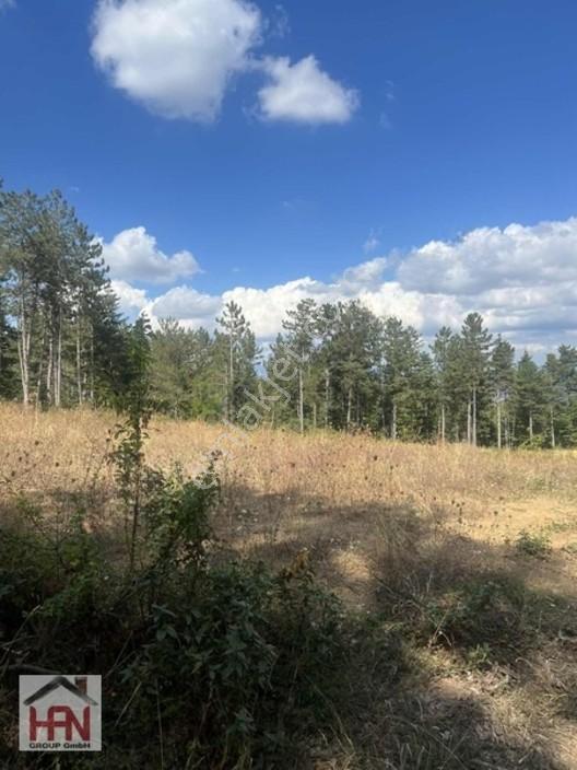 Alaçam'da Satılık 1.175m2 Hobi Bahçesi — fotoğraf 3