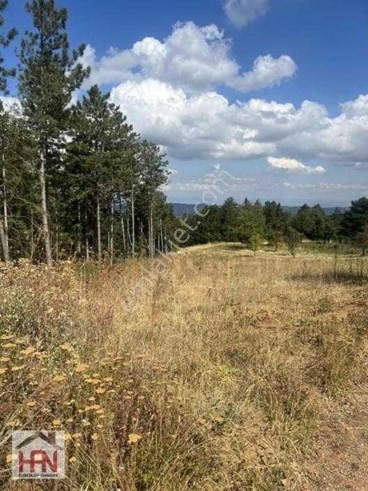 Alaçam'da Satılık 1.175m2 Hobi Bahçesi — fotoğraf 4