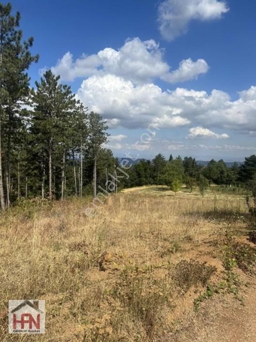 Alaçam'da Satılık 1.175m2 Hobi Bahçesi — fotoğraf 5