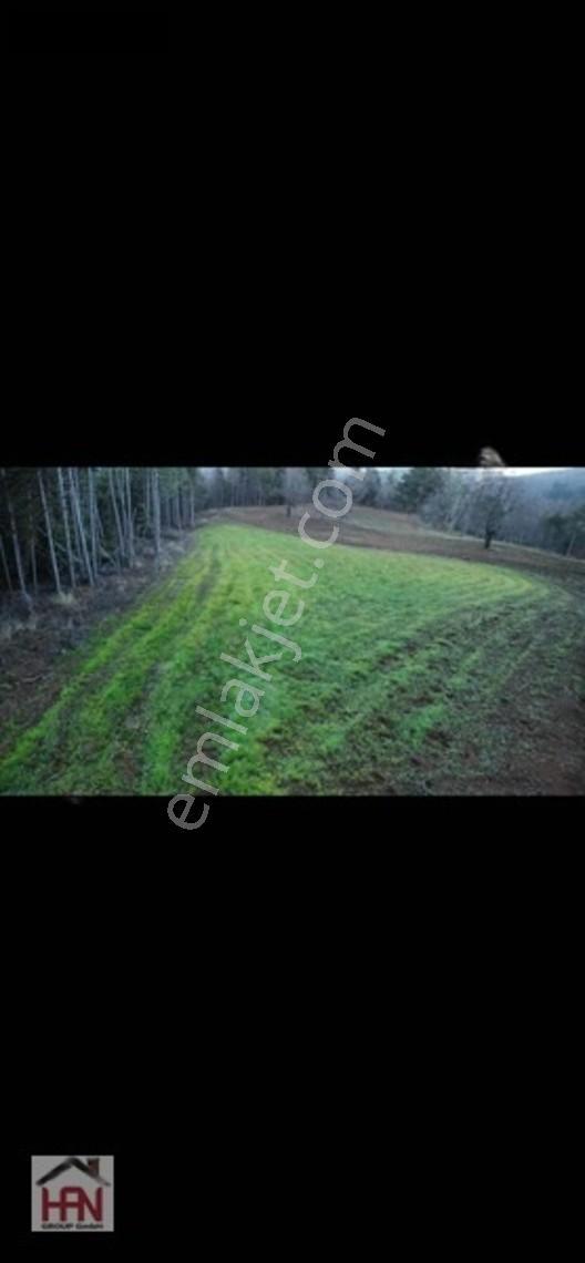 Alaçam'da Satılık 1.175m2 Hobi Bahçesi — fotoğraf 7