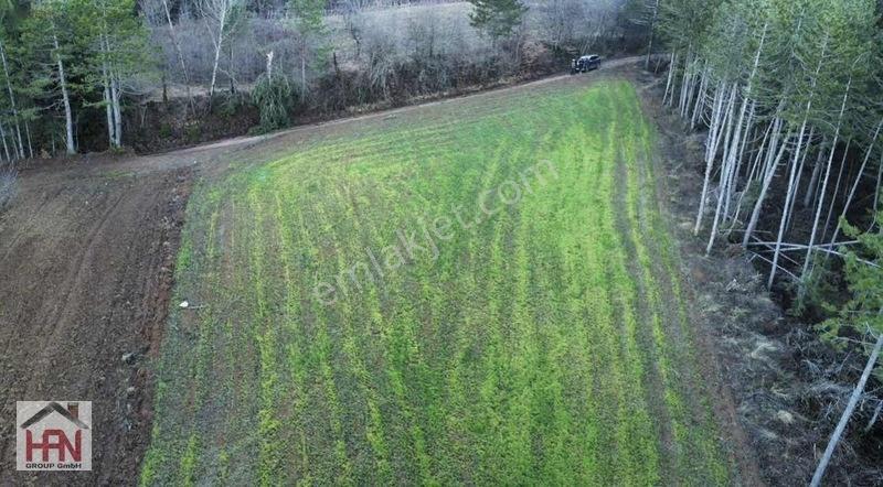 Alaçam'da Satılık 1.175m2 Hobi Bahçesi — fotoğraf 8