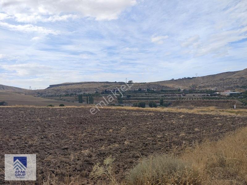 Oymaağaçta 19.702 M² Tek Tapu | Kuzey Çevre Yoluna 170 Metre — fotoğraf 2
