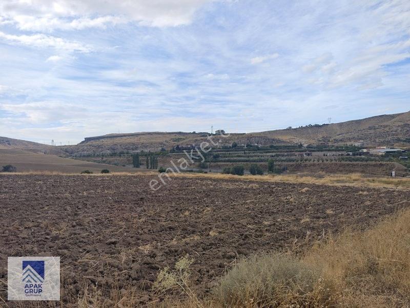 Oymaağaçta 19.702 M² Tek Tapu | Kuzey Çevre Yoluna 170 Metre — fotoğraf 3
