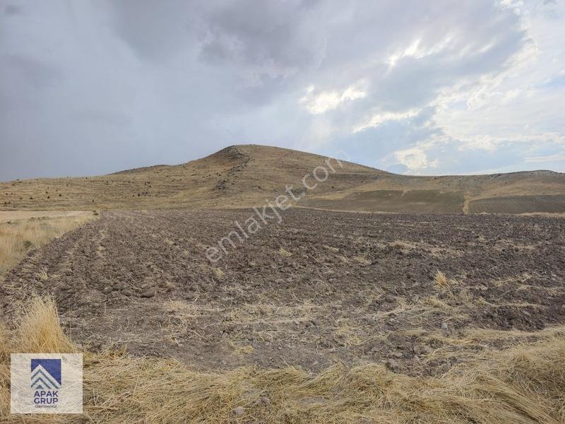 Oymaağaçta 19.702 M² Tek Tapu | Kuzey Çevre Yoluna 170 Metre — fotoğraf 4