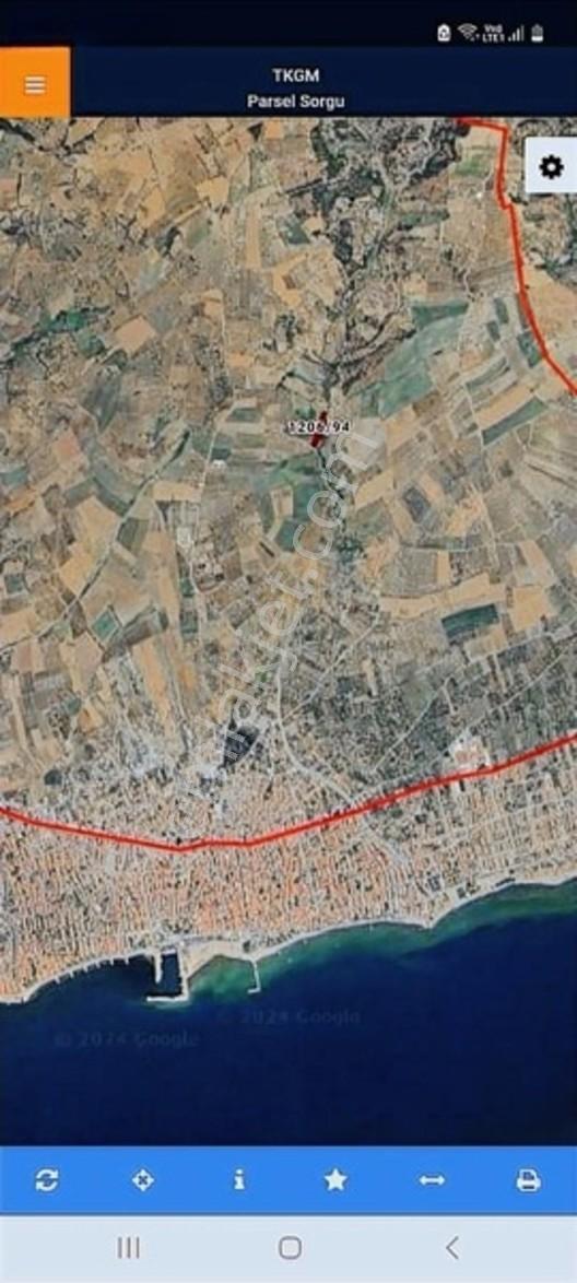 Duru Emlaktan Şarköy Merkezde 2635mt Zeytinlik — fotoğraf 3