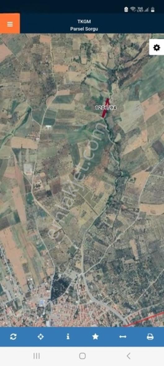 Duru Emlaktan Şarköy Merkezde 2635mt Zeytinlik — fotoğraf 4
