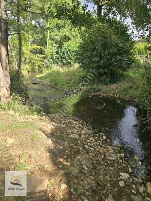 Kırklareli Vize Kömürköy'de Asfalt Cephe Tarlada 268m² Parsel — fotoğraf 7