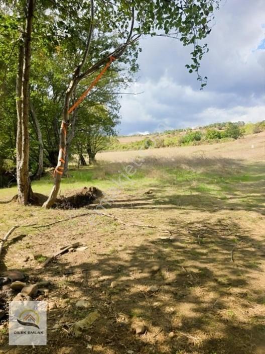 Kırklareli Vize Kömürköy'de Asfalt Cephe Tarlada 268m² Parsel — fotoğraf 8