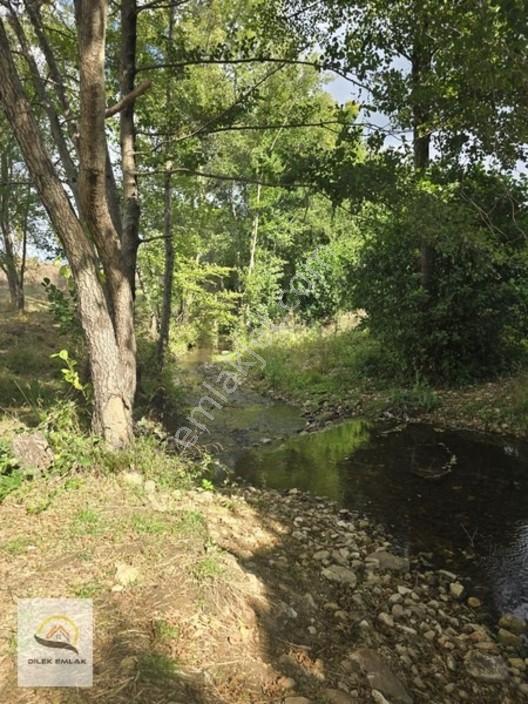 Kırklareli Vize Kömürköy'de Asfalt Cephe Tarlada 268m² Parsel — fotoğraf 9