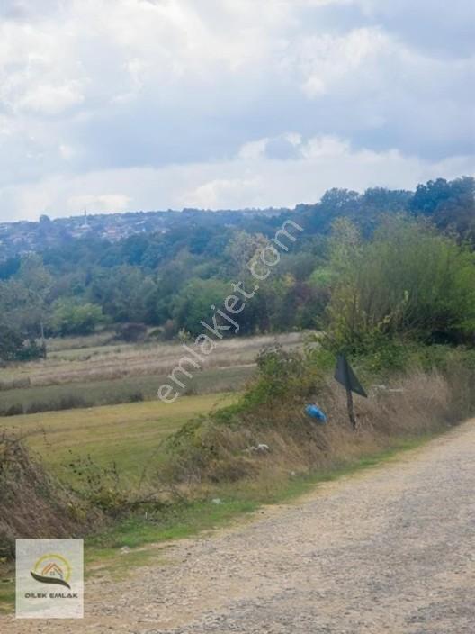 Kırklareli Vize Kömürköy'de Asfalt Cephe Tarlada 268m² Parsel — fotoğraf 13