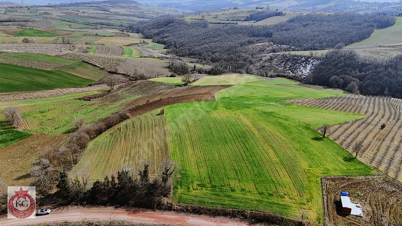 Kandıra Ömerli Mahallesi Muhteşem Konumda Satılık Arazi — fotoğraf 5