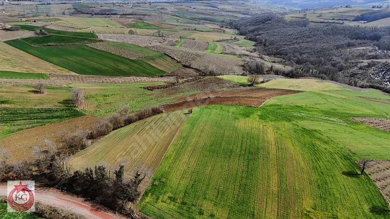Kandıra Ömerli Mahallesi Muhteşem Konumda Satılık Arazi — fotoğraf 6