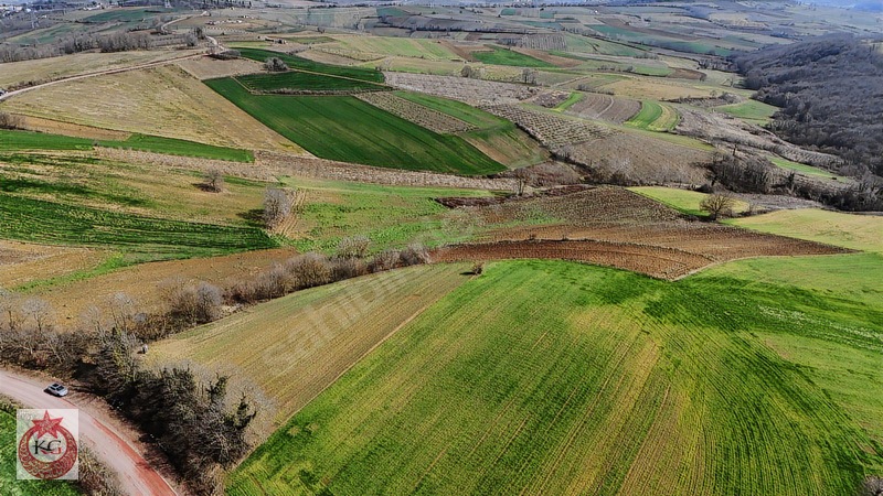 Kandıra Ömerli Mahallesi Muhteşem Konumda Satılık Arazi — fotoğraf 7
