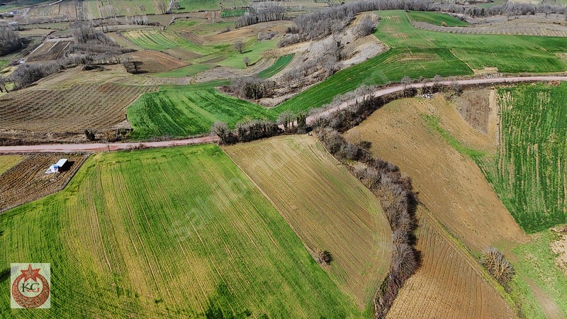 Kandıra Ömerli Mahallesi Muhteşem Konumda Satılık Arazi — fotoğraf 16