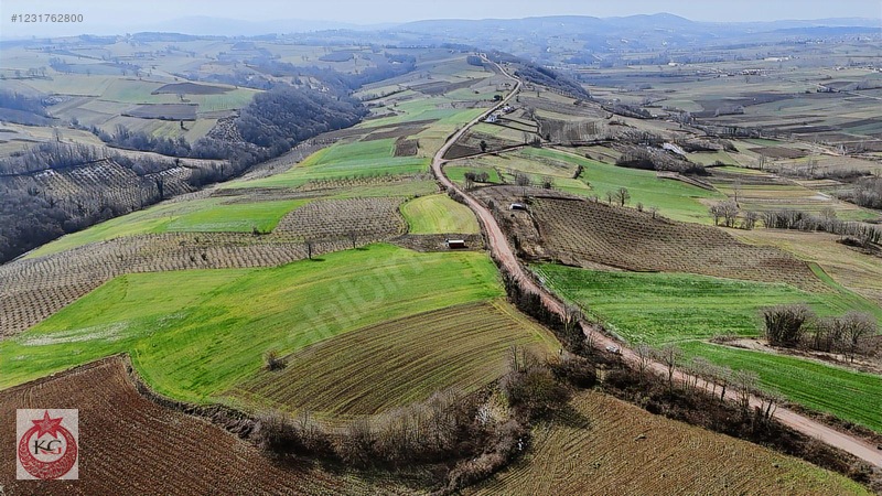 Kandıra Ömerli Mahallesi Muhteşem Konumda Satılık Arazi — fotoğraf 26