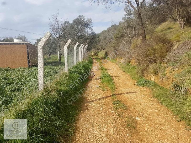 Burhaniye Hisar Köyünde 1+1 Konteynerli Yatırımlık Tarla 210m — fotoğraf 2