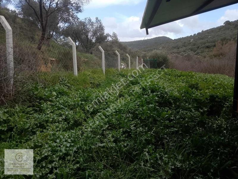 Burhaniye Hisar Köyünde 1+1 Konteynerli Yatırımlık Tarla 210m — fotoğraf 13