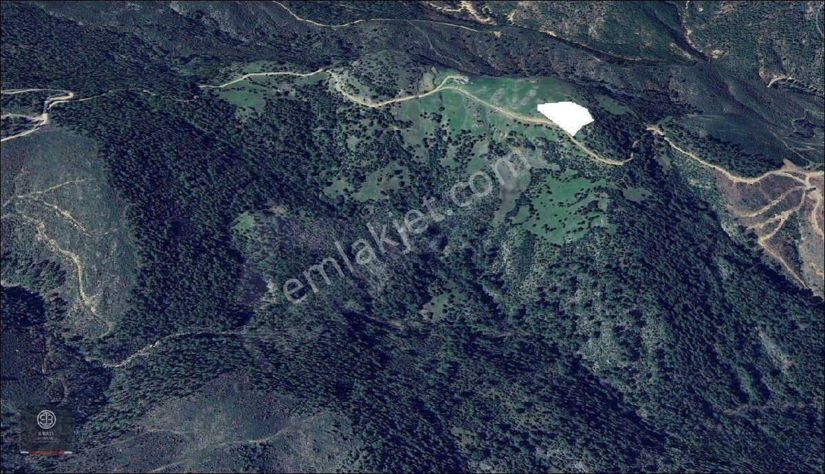 Kaz Dağları Zirvesinde | Doğa Yaşamı, Karavan Ve Gelecek Yatırımı 4.000 M² — fotoğraf 3