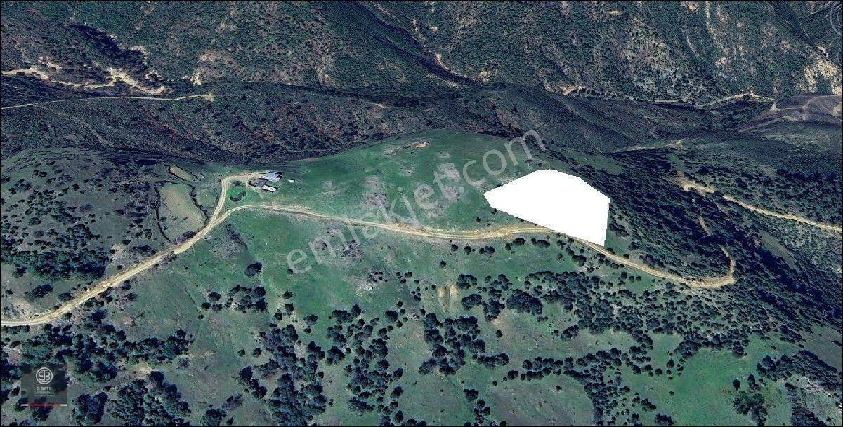Kaz Dağları Zirvesinde | Doğa Yaşamı, Karavan Ve Gelecek Yatırımı 4.000 M² — fotoğraf 5