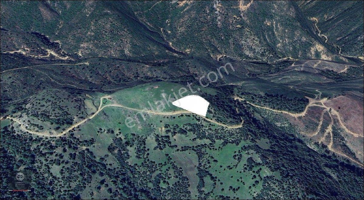 Kaz Dağları Zirvesinde | Doğa Yaşamı, Karavan Ve Gelecek Yatırımı 4.000 M² — fotoğraf 6