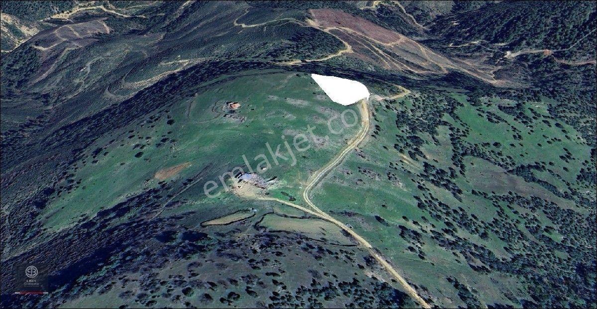 Kaz Dağları Zirvesinde | Doğa Yaşamı, Karavan Ve Gelecek Yatırımı 4.000 M² — fotoğraf 7