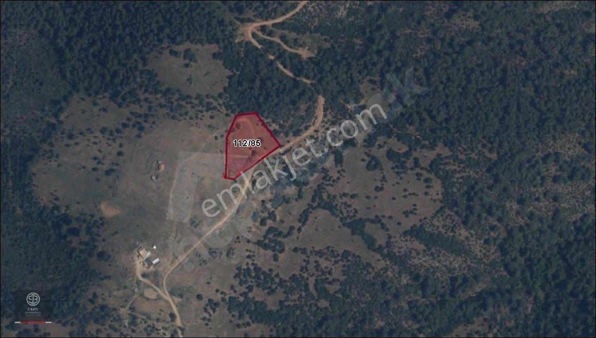 Kaz Dağları Zirvesinde | Doğa Yaşamı, Karavan Ve Gelecek Yatırımı 4.000 M² — fotoğraf 12