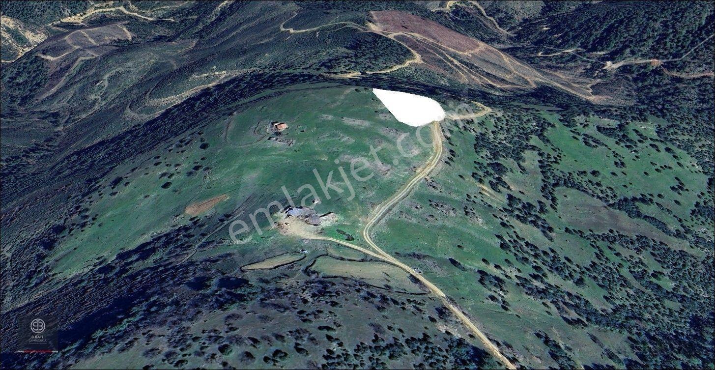 Kaz Dağları Zirvesinde | Doğa Yaşamı, Karavan Ve Gelecek Yatırımı 4.000 M² — fotoğraf 13