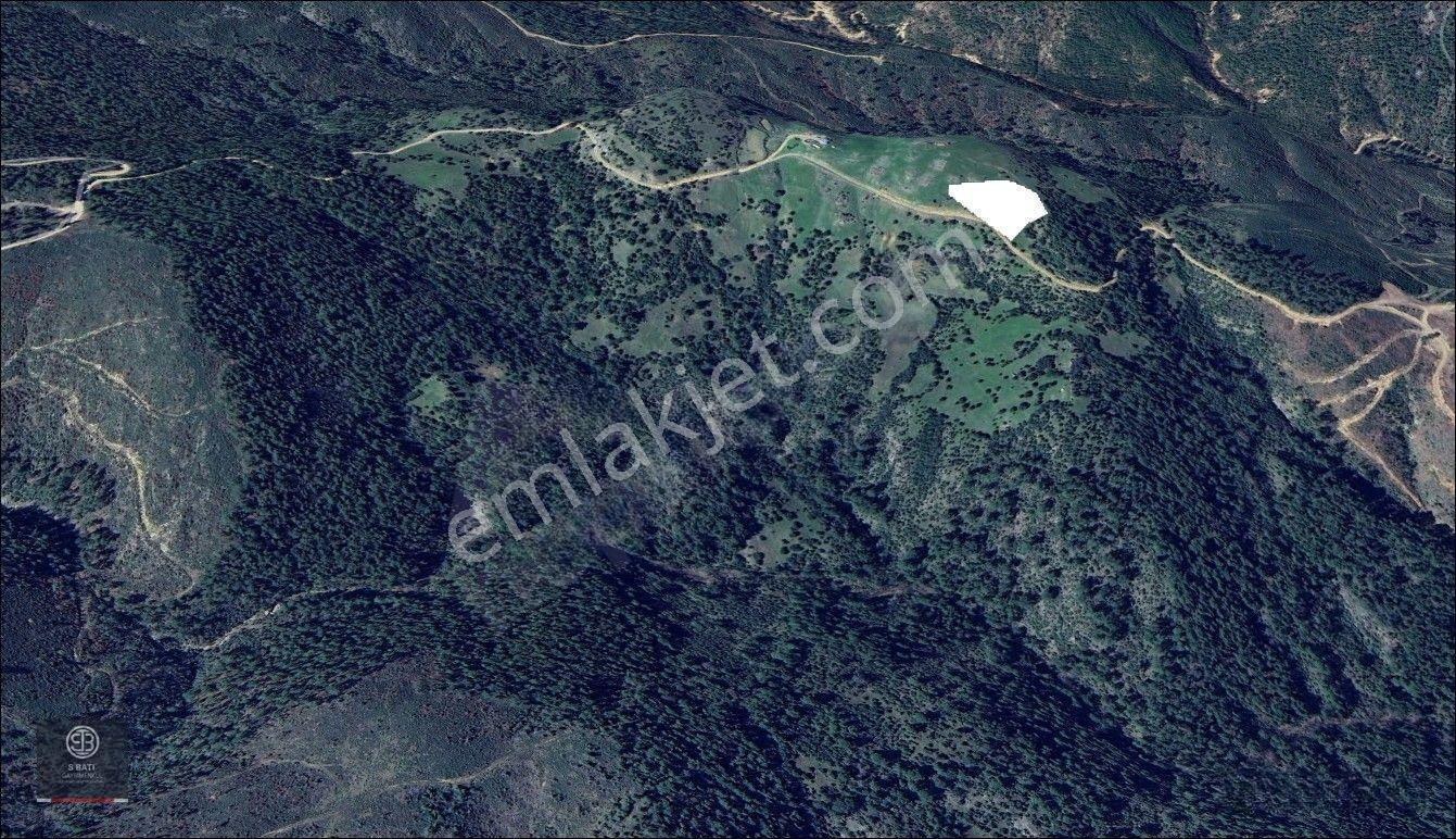 Kaz Dağları Zirvesinde | Doğa Yaşamı, Karavan Ve Gelecek Yatırımı 4.000 M² — fotoğraf 14
