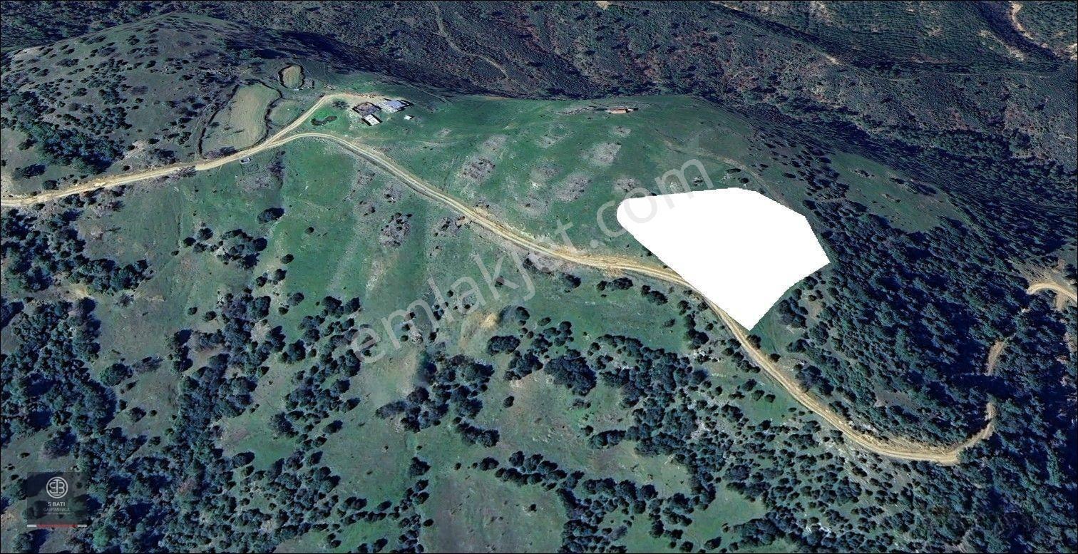 Kaz Dağları Zirvesinde | Doğa Yaşamı, Karavan Ve Gelecek Yatırımı 4.000 M² — fotoğraf 15