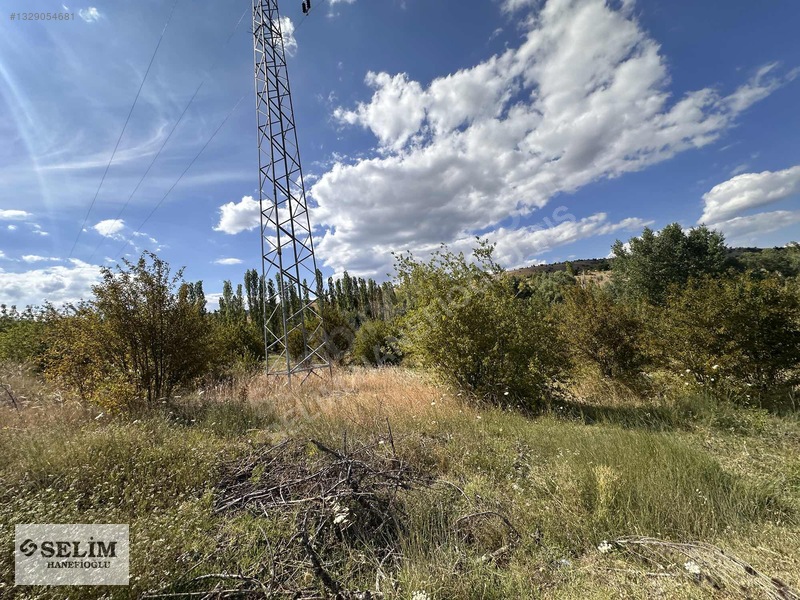 Selim Hanefioğlun'dan Eğriekin Mahallesinde 5159m2 Hisse — fotoğraf 5