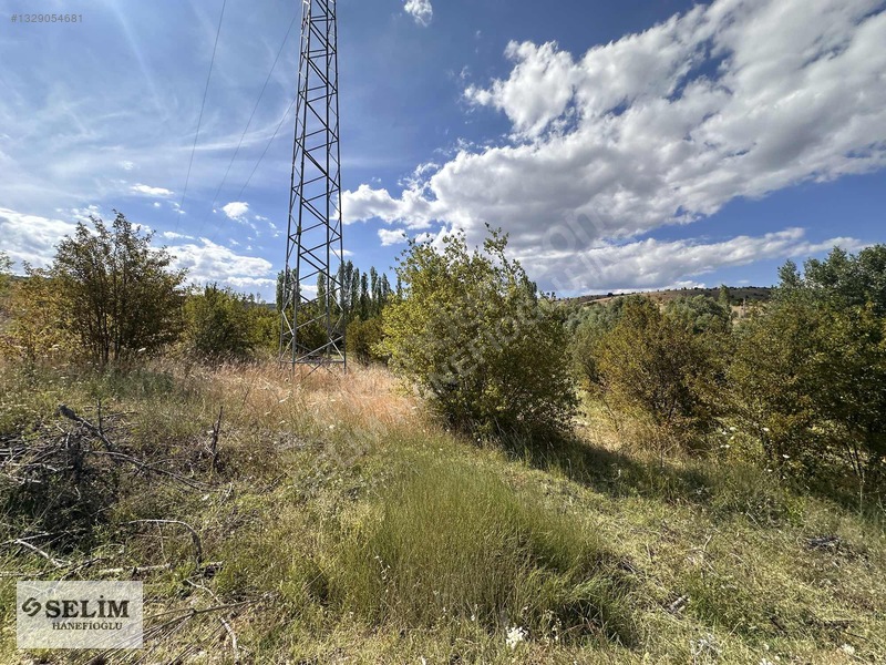 Selim Hanefioğlun'dan Eğriekin Mahallesinde 5159m2 Hisse — fotoğraf 6