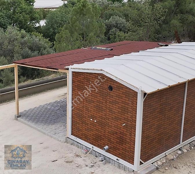 Sarıcakayada Satılık Zeytinlik — fotoğraf 3