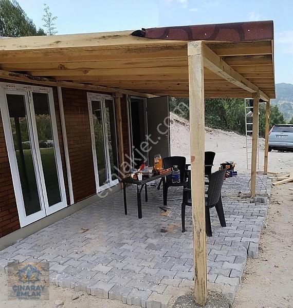 Sarıcakayada Satılık Zeytinlik — fotoğraf 8
