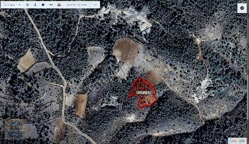 Küre Köyünde 6400 M2 Bağ — fotoğraf 4