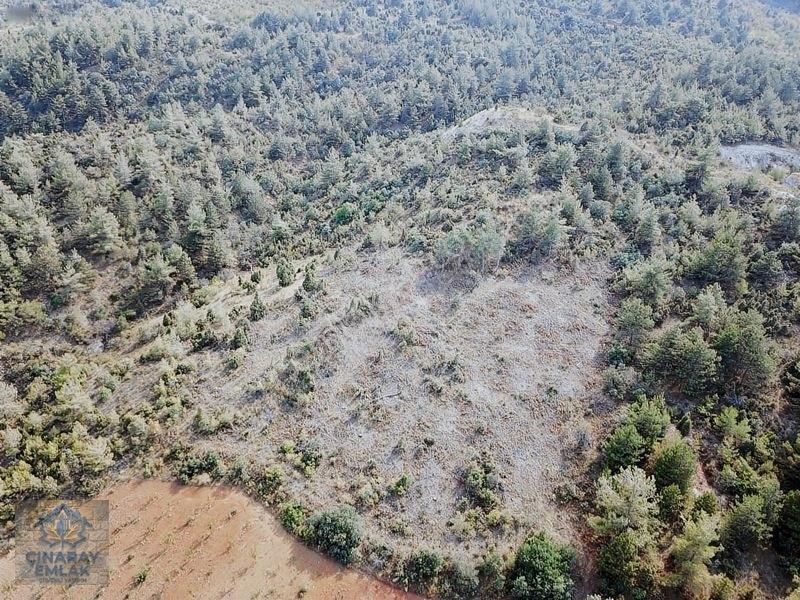 Küre Köyünde 6400 M2 Bağ — fotoğraf 6