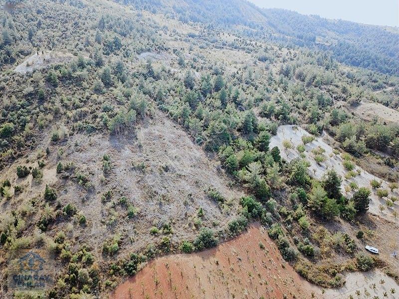 Küre Köyünde 6400 M2 Bağ — fotoğraf 7