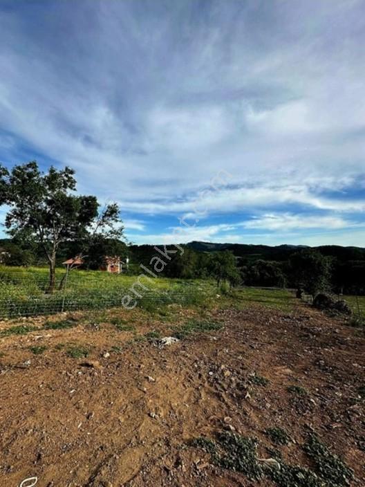 Ayvacık Baharlar Köyü Fıtsat Arsa — fotoğraf 3