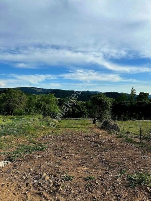 Ayvacık Baharlar Köyü Fıtsat Arsa — fotoğraf 5