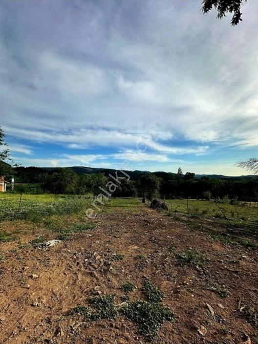 Ayvacık Baharlar Köyü Fıtsat Arsa — fotoğraf 6