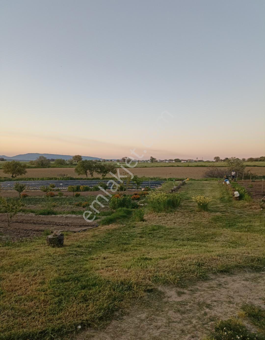 Edirne Enez İlçesi Gülçavuş Köyü Yatırımlık Kullanıma Uygun Satılık Tarla — fotoğraf 7