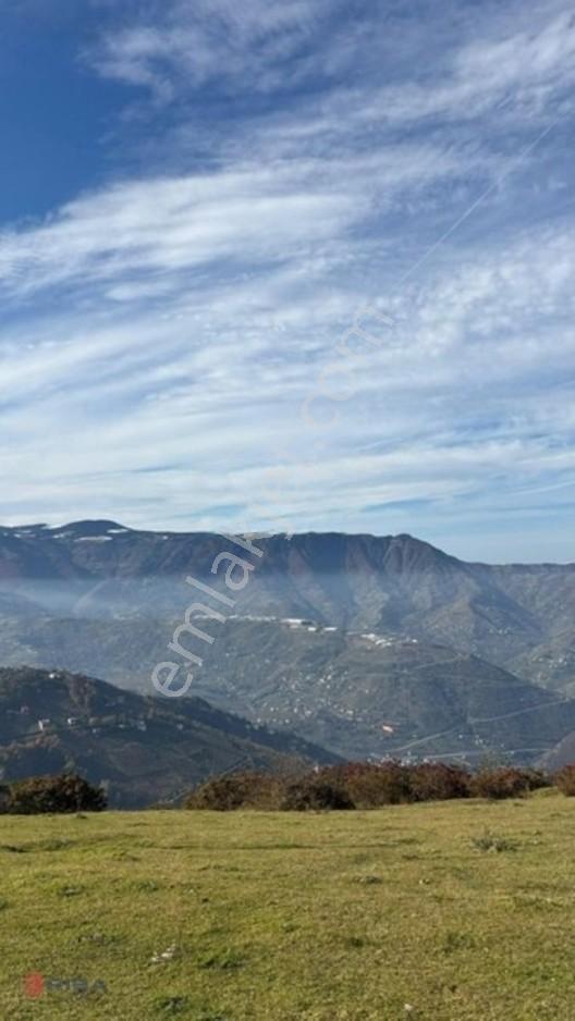 Seydikemer Yayla Atlıdere'De 22.438 M2 Yatırımlık Arazi