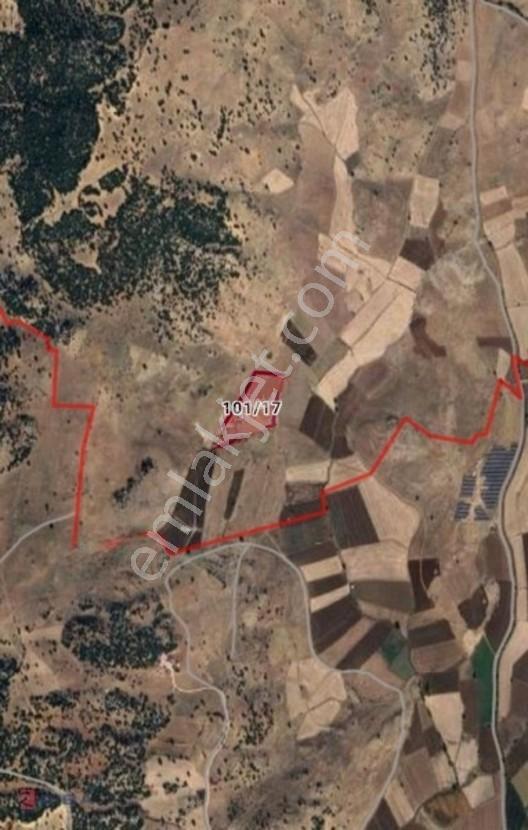 Seydikemer Yayla Atlıdere'de 22.438 M2 Yatırımlık Arazi — fotoğraf 5