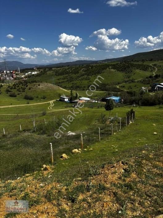 Şehitoğlu Gayrimenkul'den Fırsat 340 M2 Satılık Arsa — fotoğraf 7