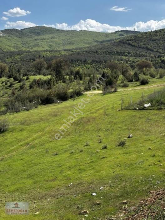 Şehitoğlu Gayrimenkul'den Fırsat 340 M2 Satılık Arsa — fotoğraf 8