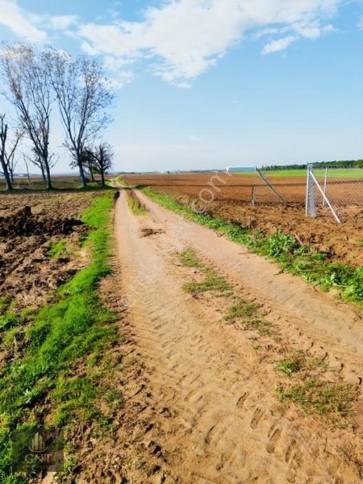 Tekirdağ Marmara Ereğlisi Bahçelievlerde Etrafı Çevrili 189 M2 — fotoğraf 3