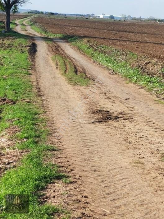 Tekirdağ Marmara Ereğlisi Bahçelievlerde Etrafı Çevrili 189 M2 — fotoğraf 5